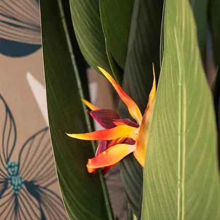 Vicheia - 31 Apartamento *